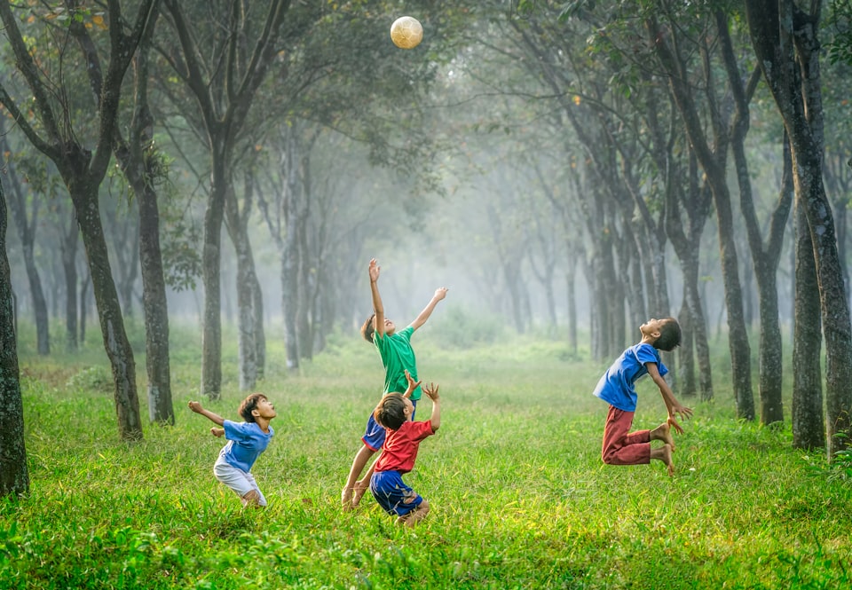 Four boys playing with a ball in a plantation of trees.