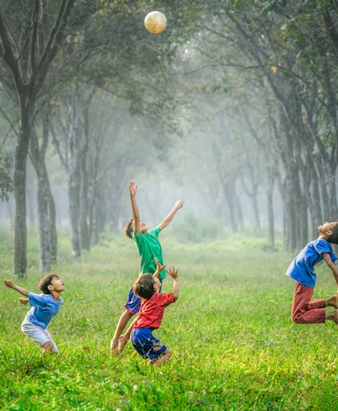 four boy playing ball on green grass