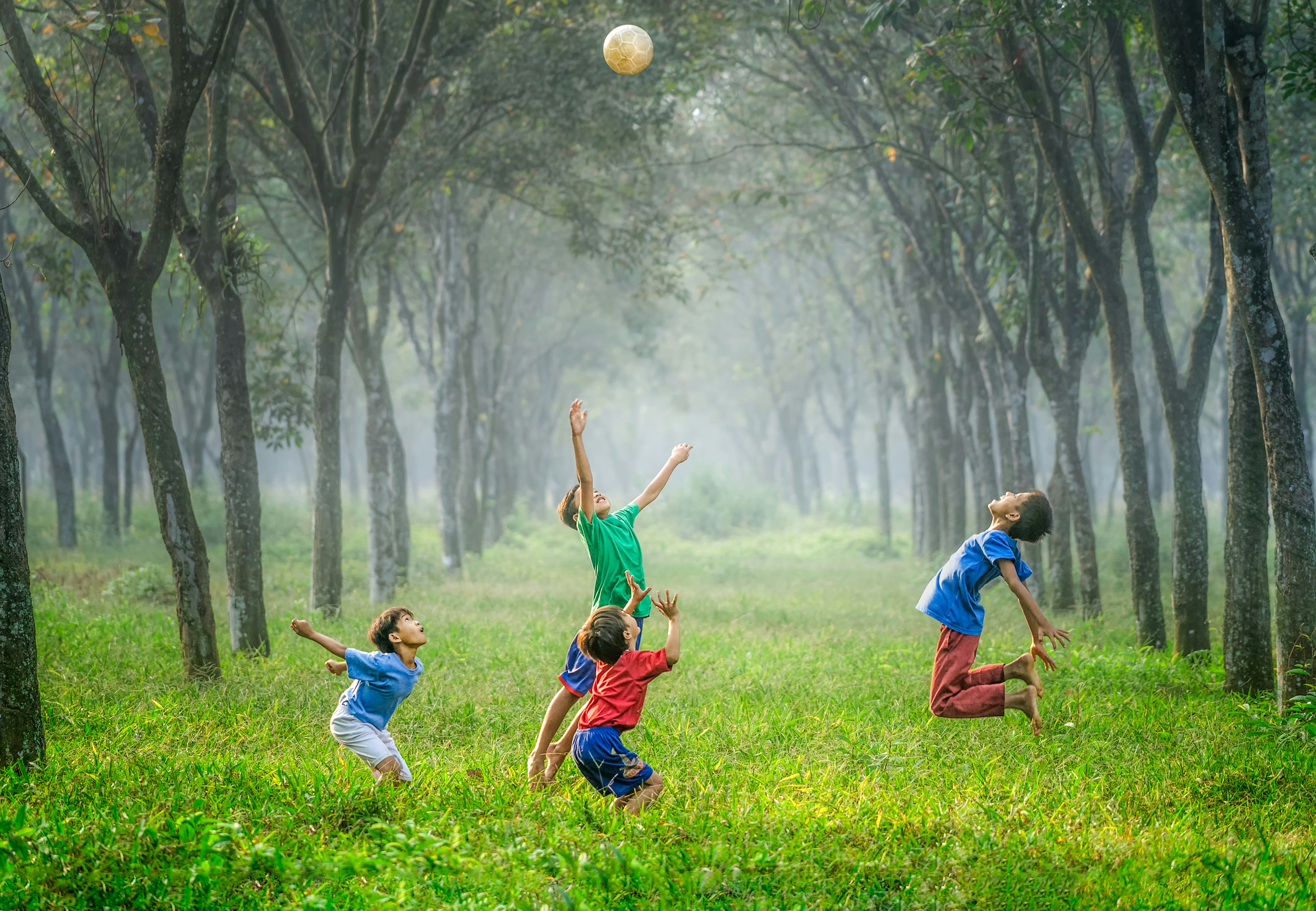 four boy playing ball on green grass