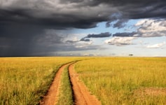 Walk on the fields