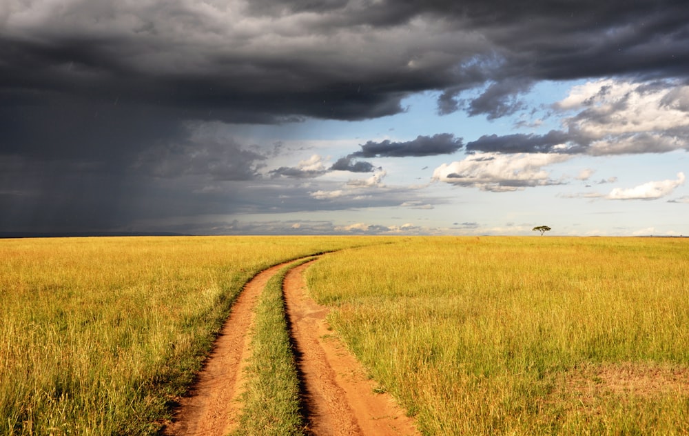 green grass field under white clouds