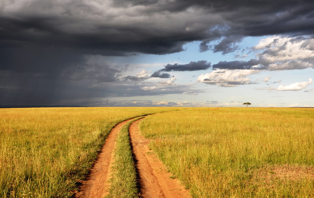 travelers stories about Plain in Maasai Mara Trips Kenya, Kenya