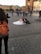 A couple in wedding attire sits on the ground in a city square, surrounded by a crowd of people. The bride is wearing a white gown and the groom is in a dark suit. There is a photographer with an orange backpack taking pictures of them. Historic buildings and a statue are visible in the background.