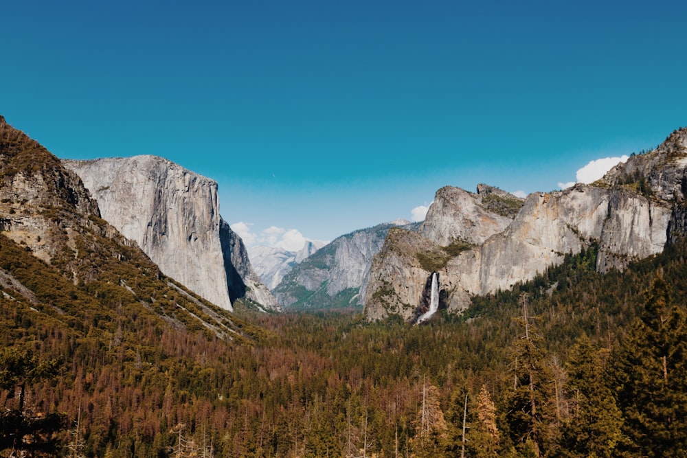 bird's eye view photo of trees surrounded by mountain terrain