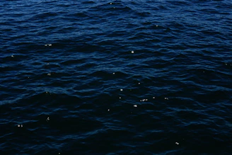 Deep blue waves ripple across a modern animated interface.