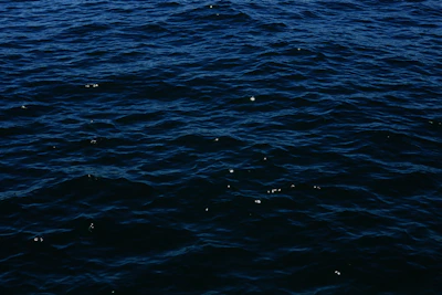 Soft blue waves gently moving across a dark, sleek background with subtle light effects.