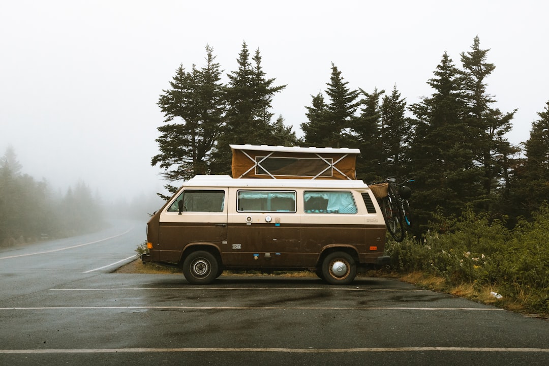 brown and white bus near green trees