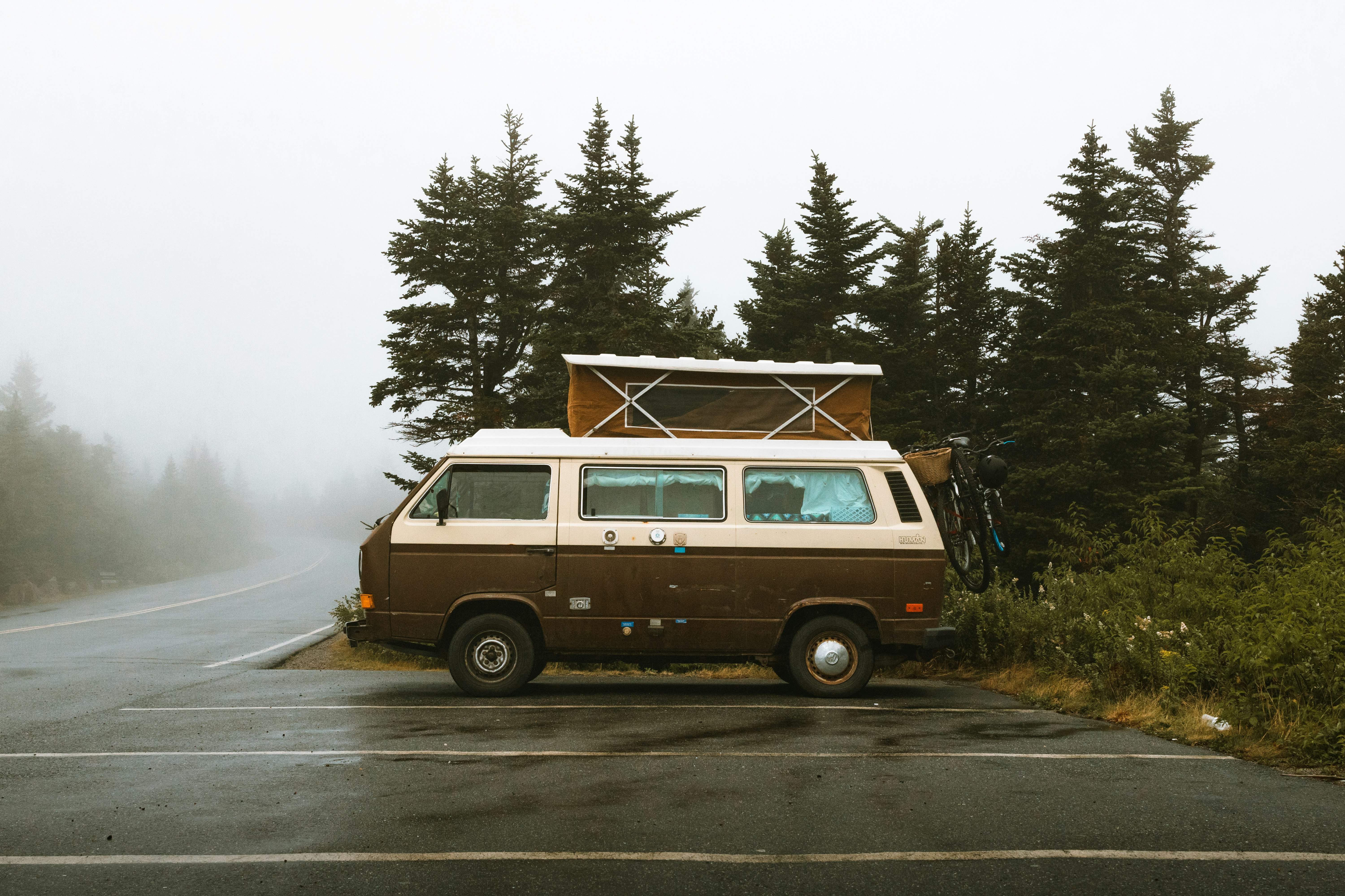 brown and white bus near green trees