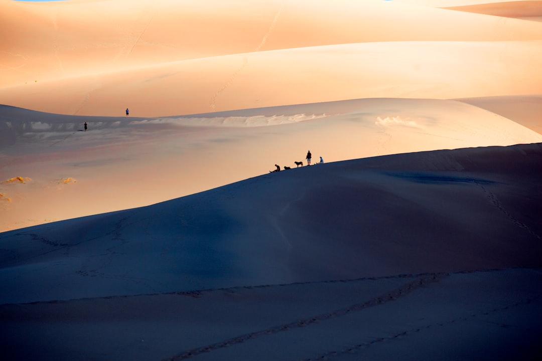 people on snow coated mountain during daytime