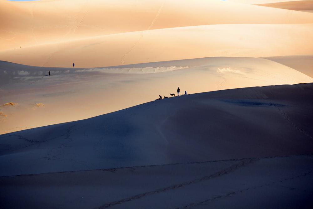 people on snow coated mountain during daytime