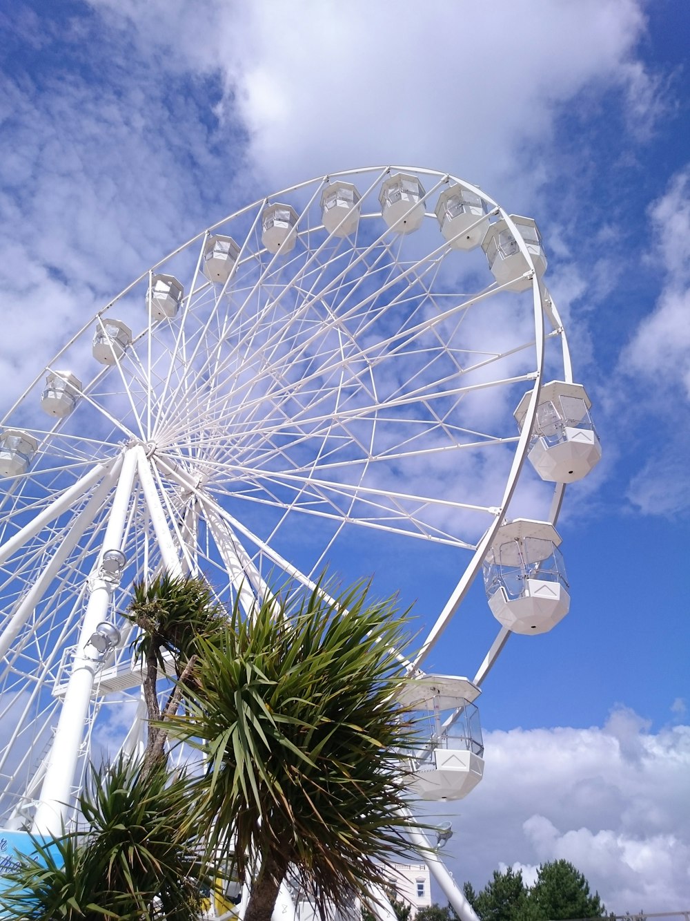 photography of ferris wheel during daytime
