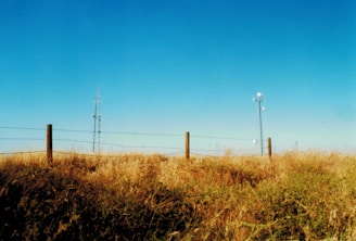 A field with neatly installed star pickets covered by secure caps, showcasing their effectiveness.