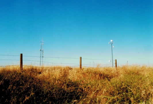 A field with neatly installed star pickets covered by secure caps, showcasing their effectiveness.