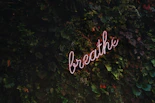 Breathe neon signage