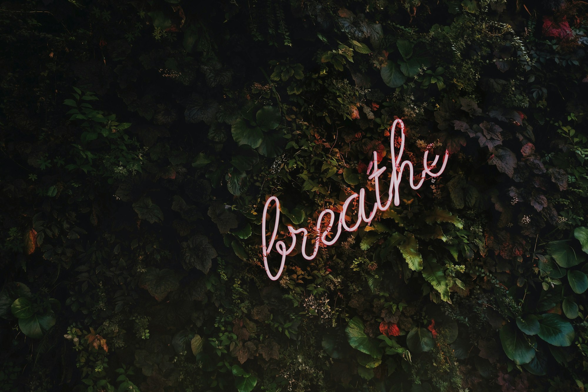 Qu'est-ce que la respiration consciente ?