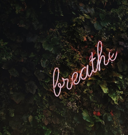 Breathe neon signage