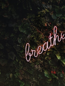 Breathe neon signage