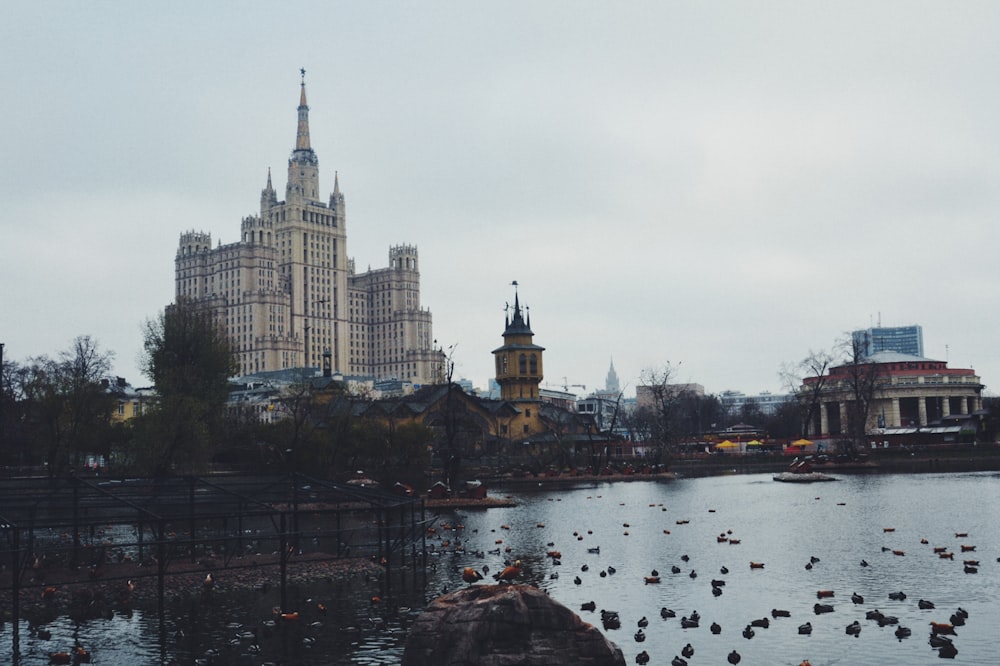 photography of cathedral near lake during daytime