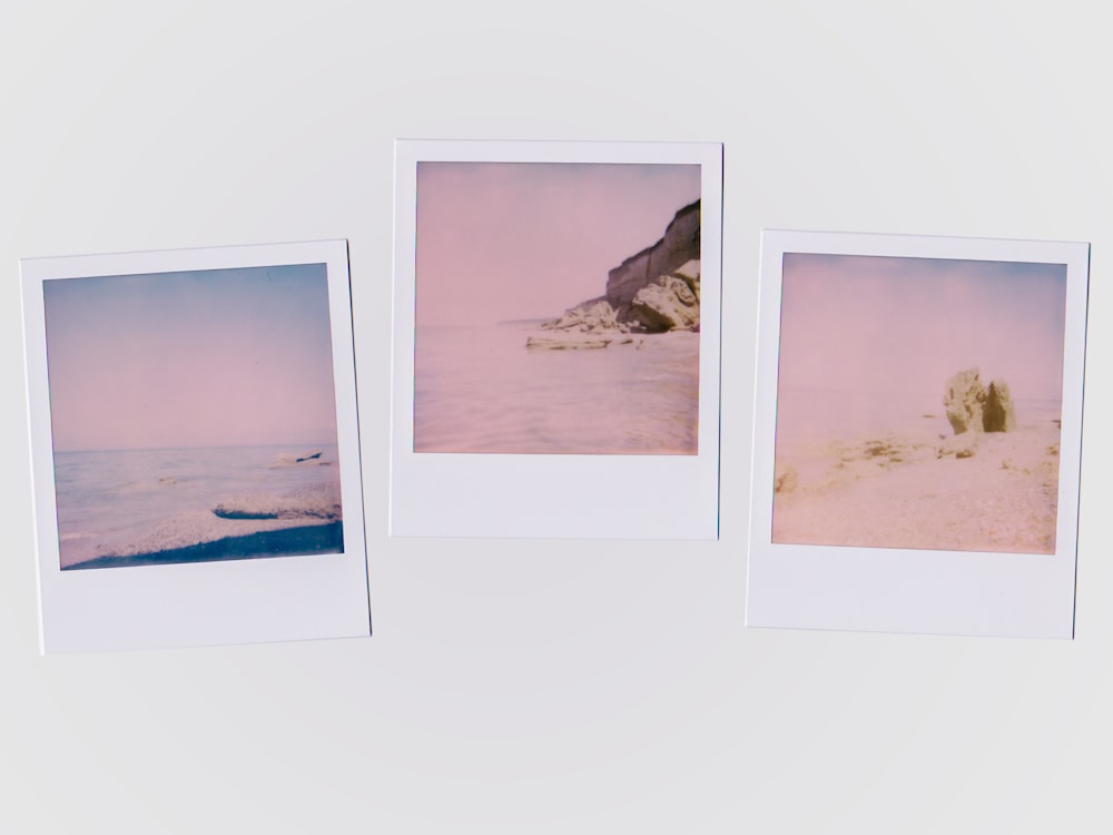 750+ Polaroid Pictures [HQ]  Download Free Images on Unsplash