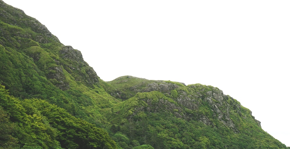 foto selettiva della montagna verde sotto il cielo bianco durante il giorno