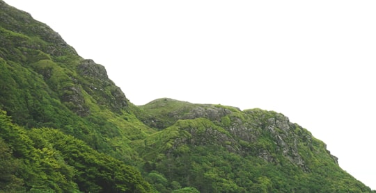 selective photo of green mountain under white sky at daytime in Connemara National Park Ireland