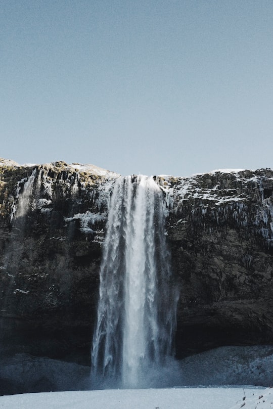 waterfall under blue sky in Seljalandsfoss Iceland