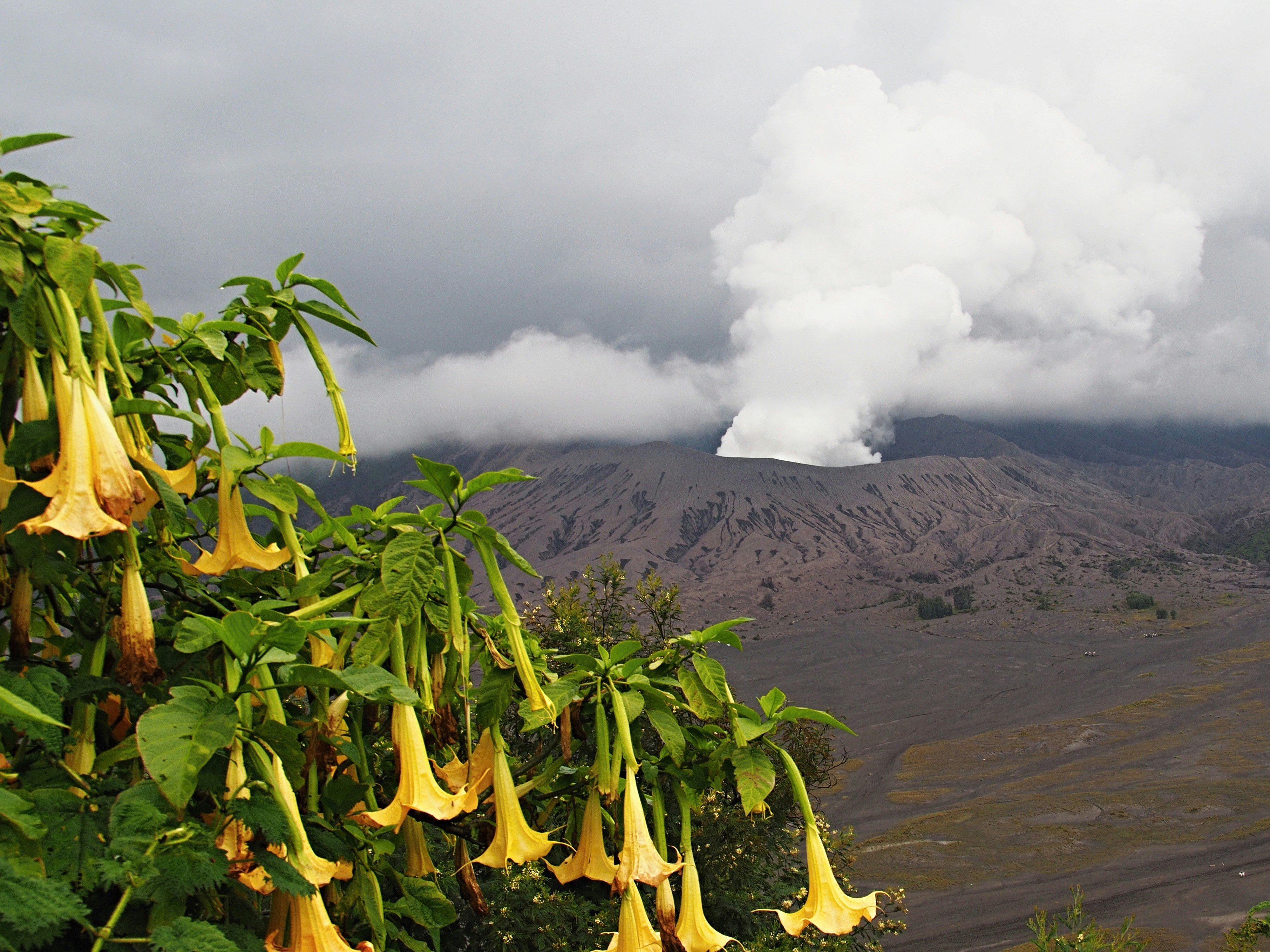Aktivitas Terbaru Gunung Lewotobi Laki-laki dan Siaga Flores Timur
