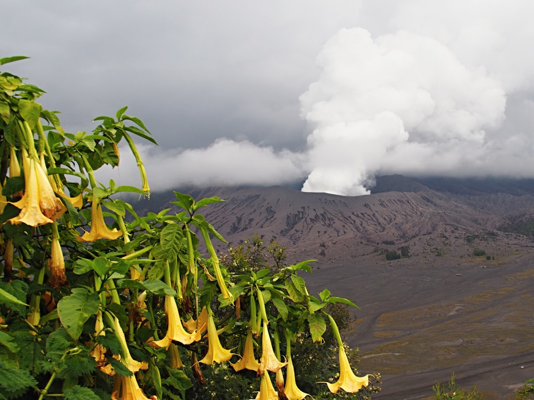 Volcano photo spot Mount Bromo Semeru