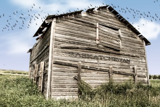 brown wooden barn during daytime