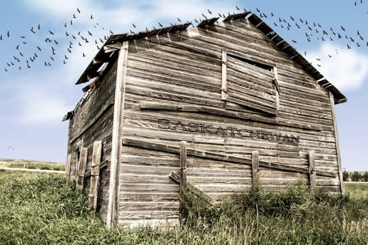 brown wooden barn during daytime