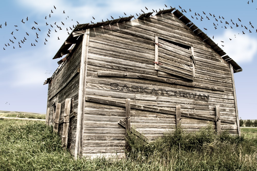 brown wooden barn during daytime