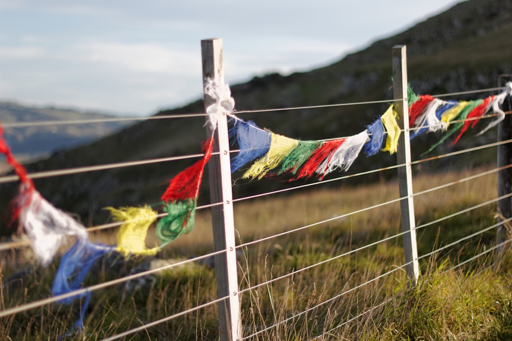 banderines multicolores en la cerca blanca cerca del campo de hierba durante el día