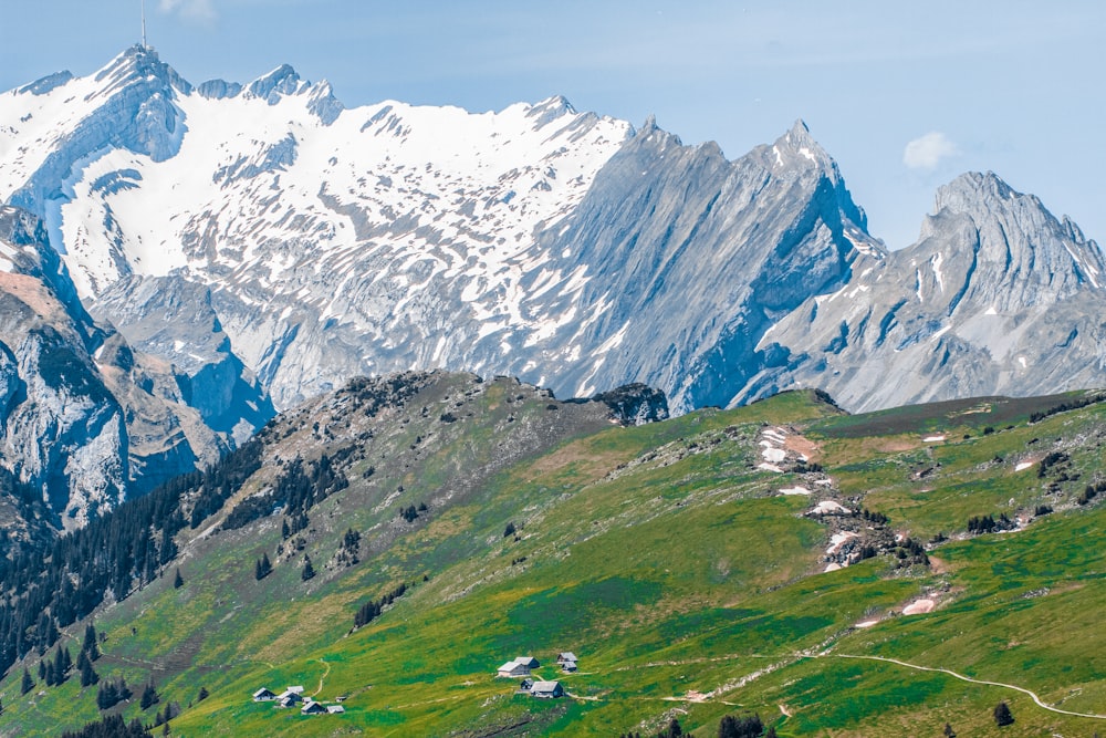 Champ d’herbe verte près du champ de la montagne blanche avec de la neige