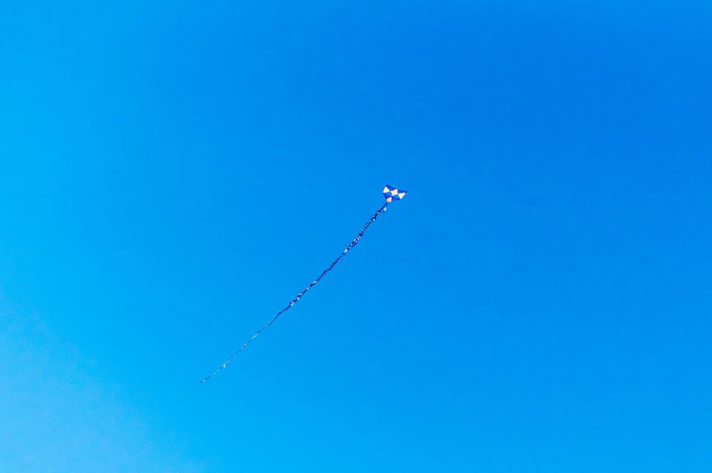 white and blue kite flying on clear sky