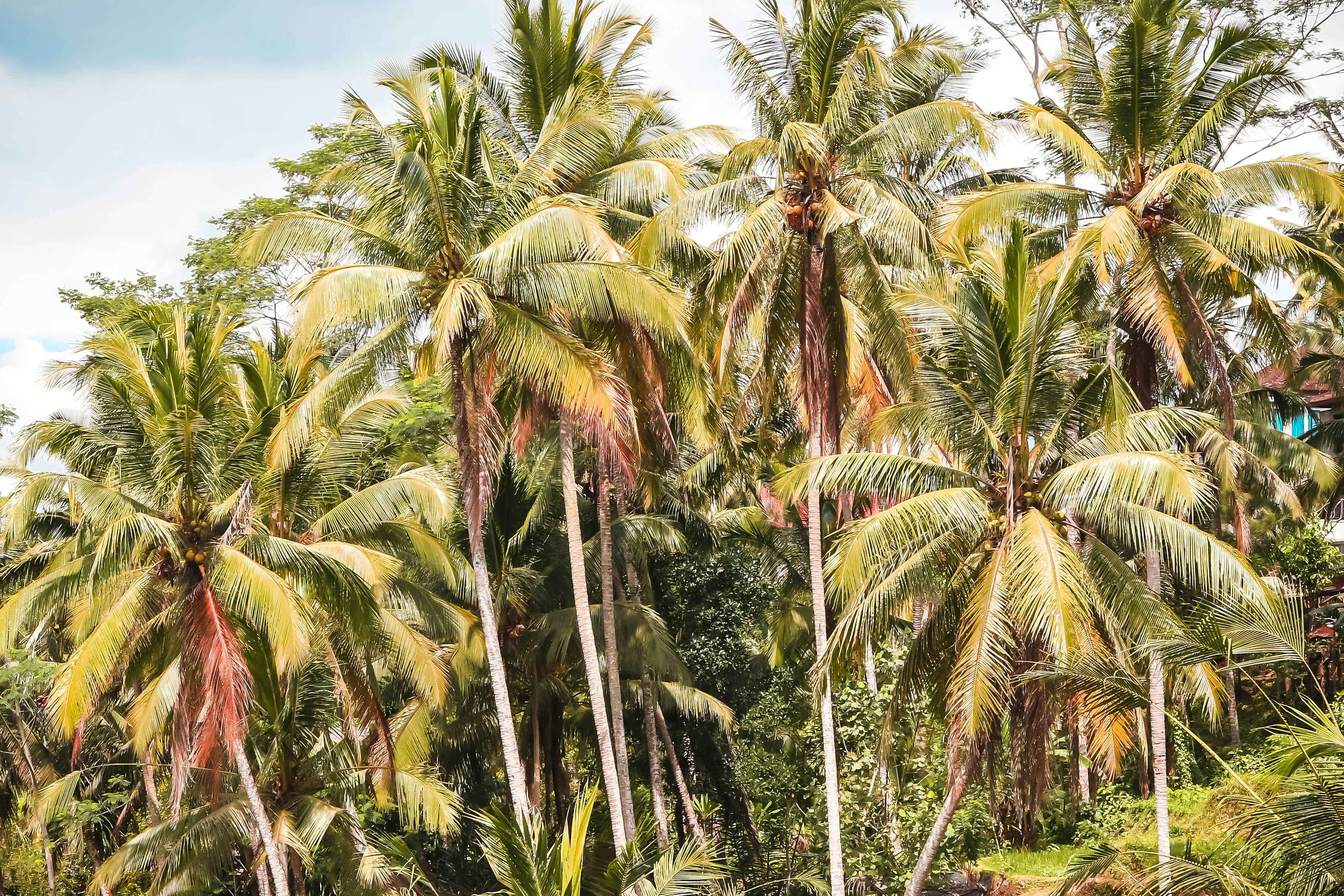 Photo by jeremybishop