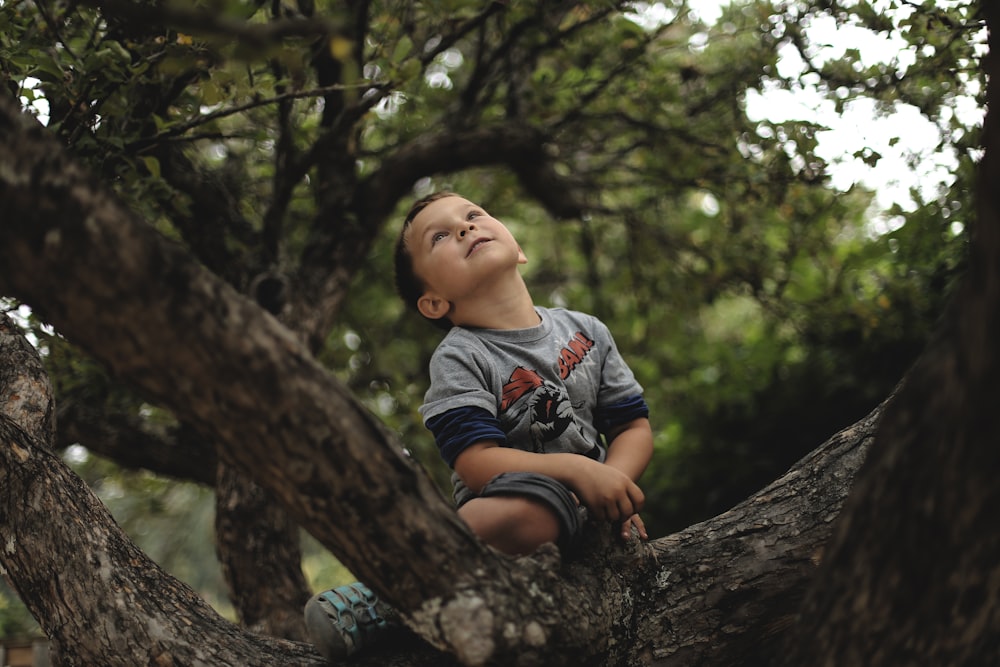 boy climb on tree