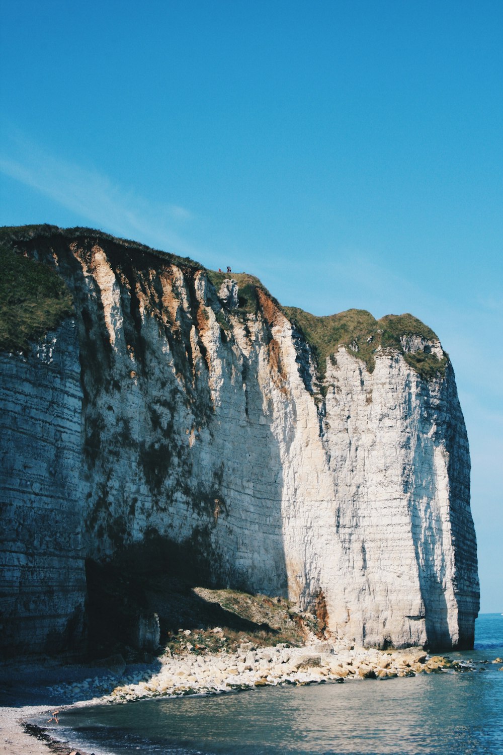 white stone cliff covered in green plants near body of water