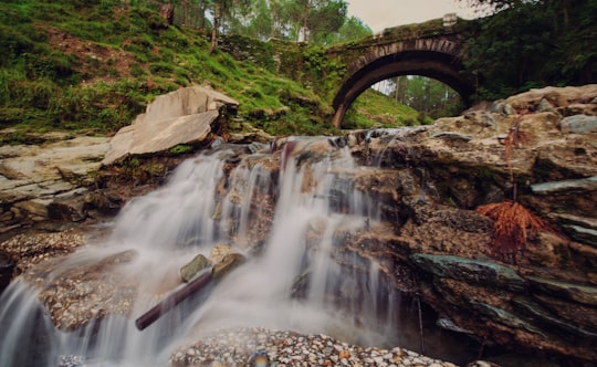 waterfalls surrounded with trees in Lansdowne India