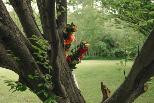 A tree trunk in the foreground with green leaves and a vibrant floral wreath wrapped around it, set in a lush green park environment.