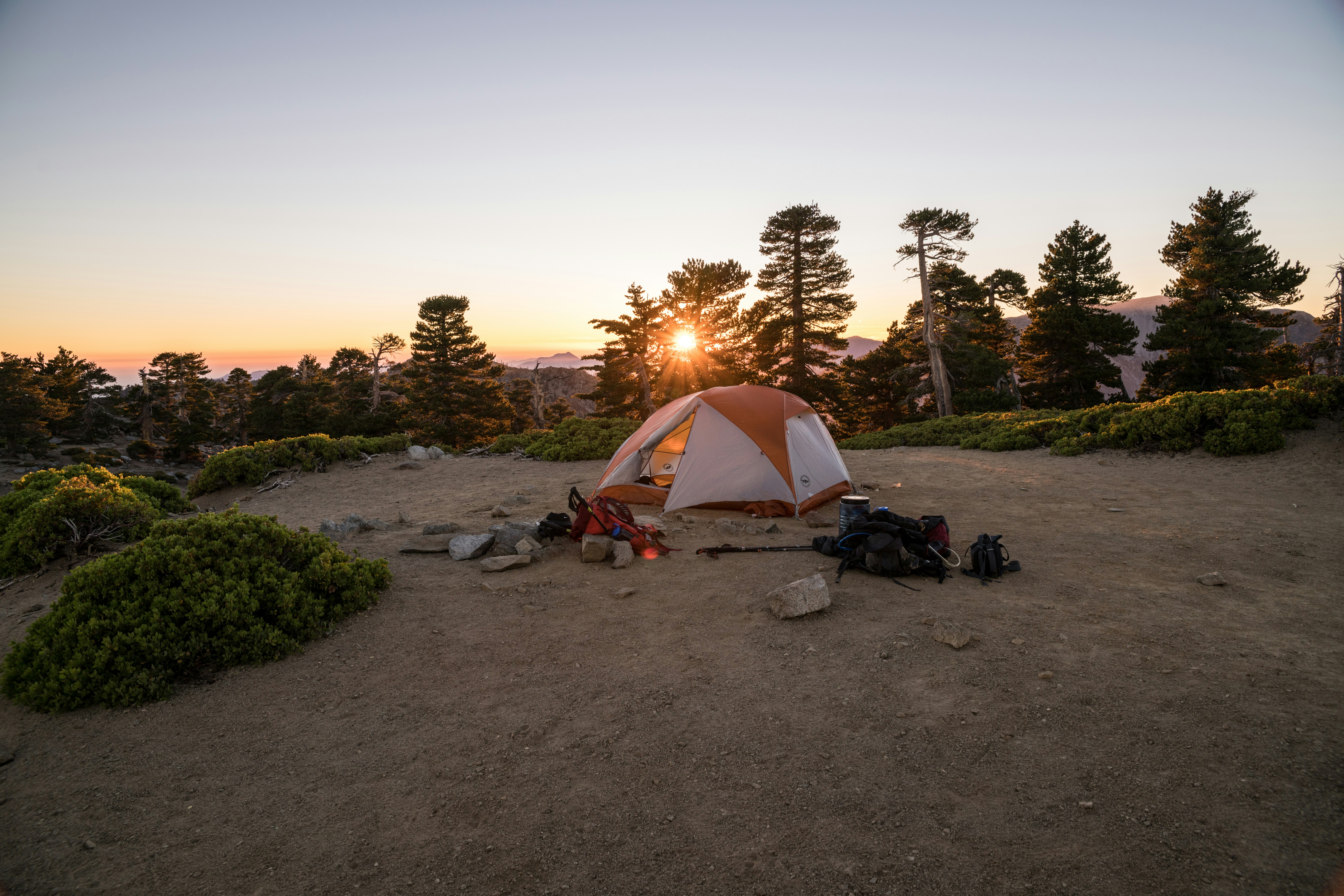 beige and orange dome tent near trees during golden hour
