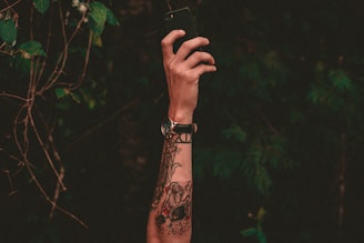 A tattooed arm extends upward holding a smartphone against a backdrop of dark green foliage. The tattoo includes an intricate design with a watch on the wrist, capturing a moment in nature.