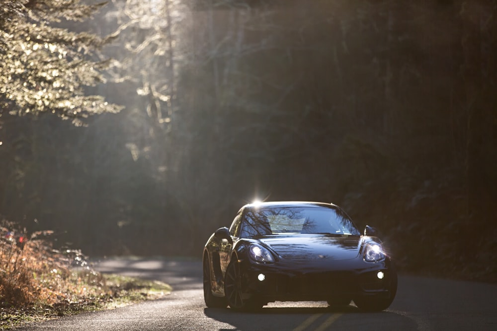 Parkings entre les arbres