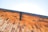 A close-up view of a wooden roof under a clear blue sky. The wooden planks are arranged in a layered pattern creating a warm, rustic aesthetic. The deep angle emphasizes the geometric structure, while a metal gutter runs along the edge.
