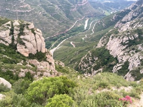 A scenic view of the Pejivalle River surrounded by lush tropical vegetation.