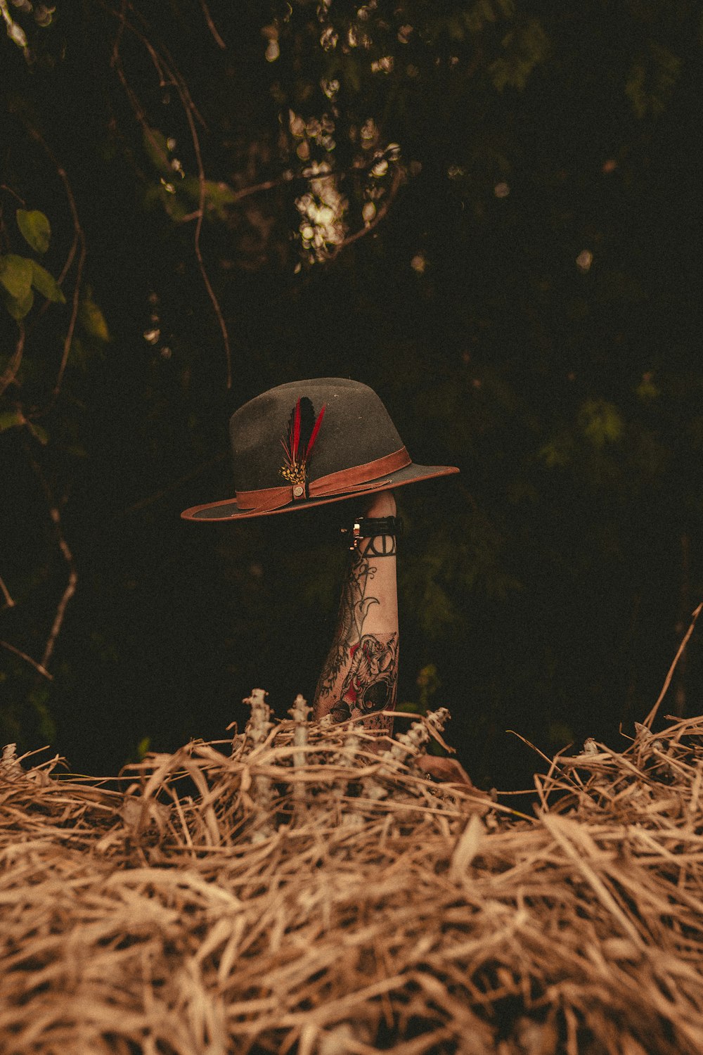 person holding a on haystack