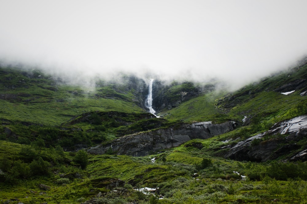 昼間の緑の山