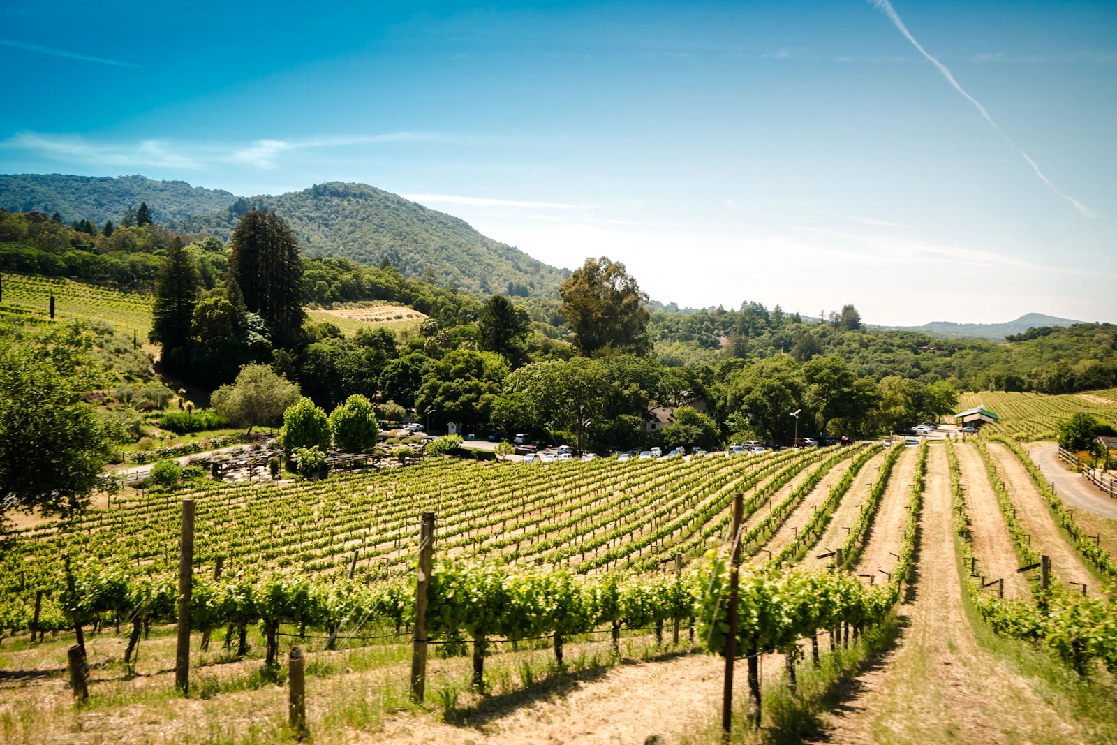 Weinberge in Niederösterreich, weiter Blick über die Landschaft