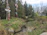 Artistic totem poles stand among lush greenery and trees near a small creek, with a few people in the distance walking along a path. The scene is serene and reflects both nature and cultural art.