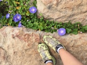 Close-up of running shoes on a dirt path surrounded by wildflowers.