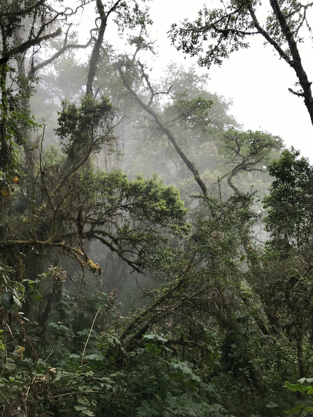 photo of Chimaltenango Department Natural landscape near Volcán de Fuego